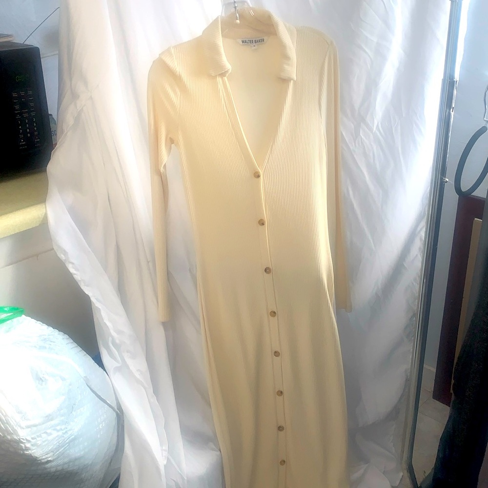 Walter Baker Dress